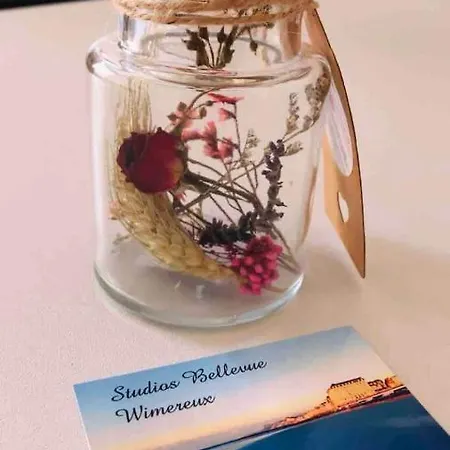 Pied A Terre A 2 Pas De La Et Du Centre Apartment