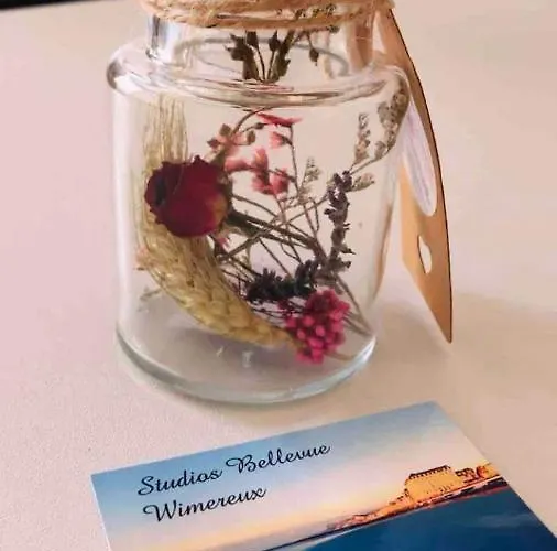 Pied à Terre à 2 Pas De La Et Du Centre Appartement